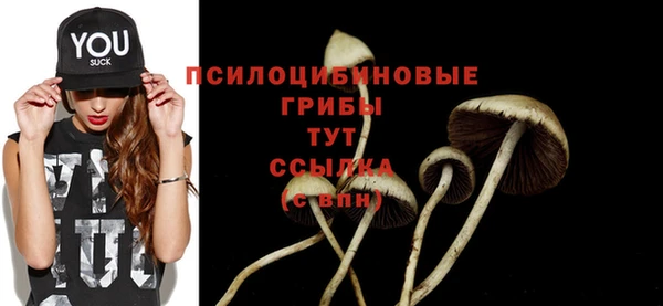 амф Балахна