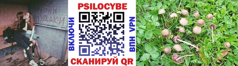 Псилоцибиновые грибы GOLDEN TEACHER  Купить  Павловский Посад 